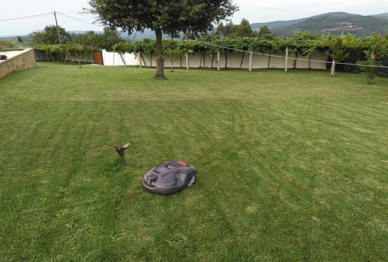 Robot cortacésped para céspedes grandes en Padrón