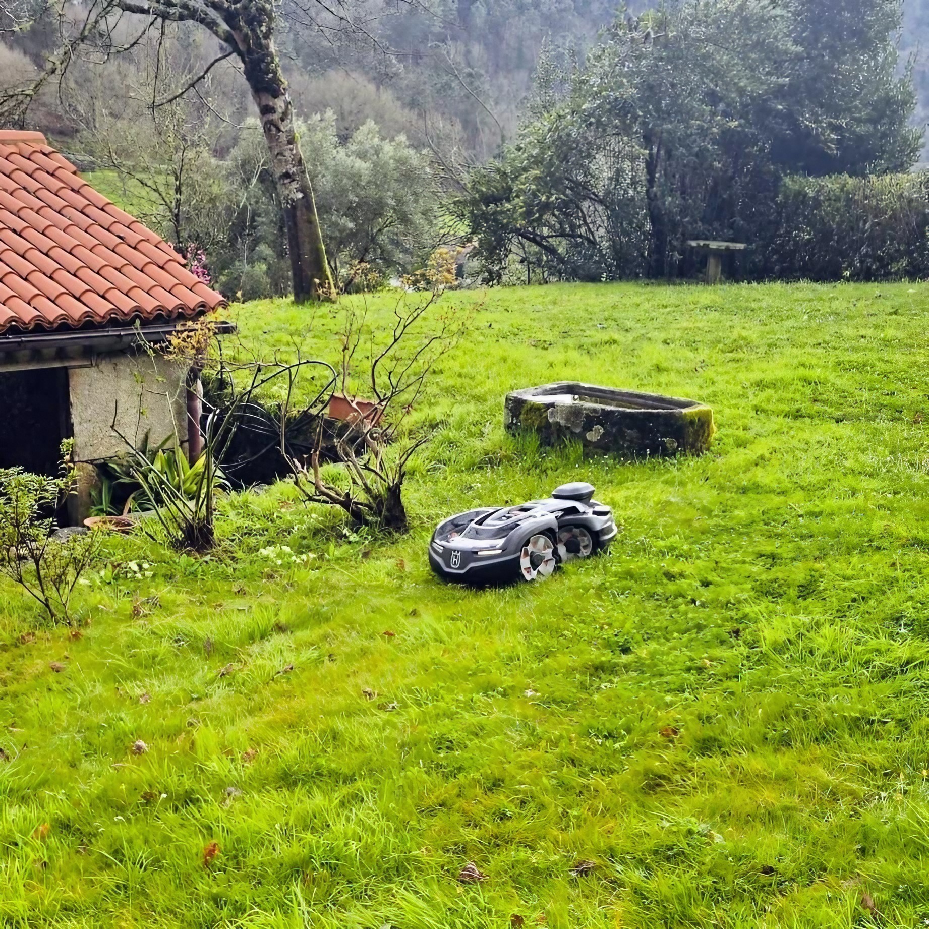 Escaparate de Jardimaq